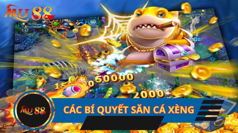Các bí quyết săn cá xèng