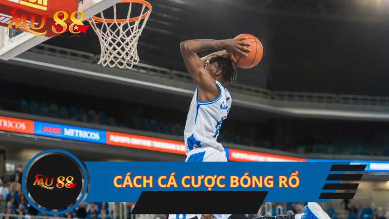 Cách cá cược bóng rổ dễ hiểu cho mọi bet thủ