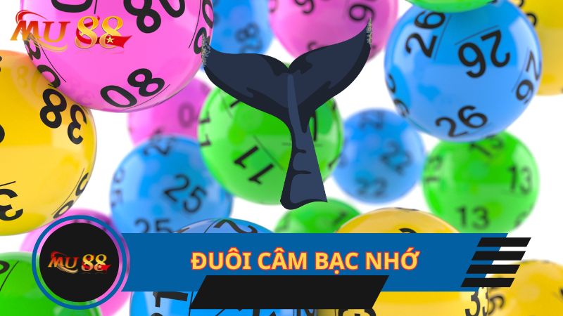 Đuôi câm bạc nhớ cực chính xác