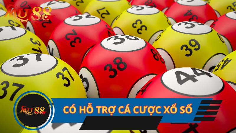 Có hỗ trợ cá cược xổ số dễ thắng