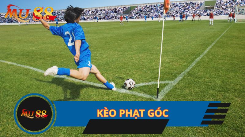 Kèo phạt góc được nhiều bet thủ chọn chơi