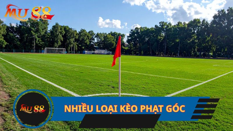 Nhiều loại kèo phạt góc