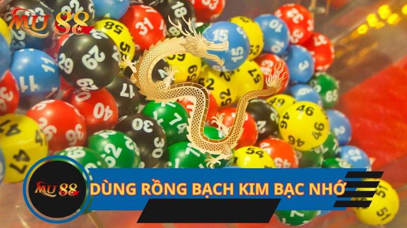 Dùng rồng bạch kim bạc nhớ hiệu quả
